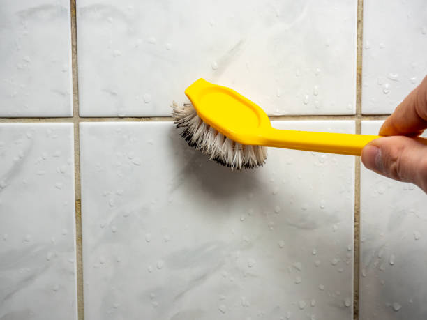 Best DIY Mold Remediation Support Services in Collings Lakes, NJ